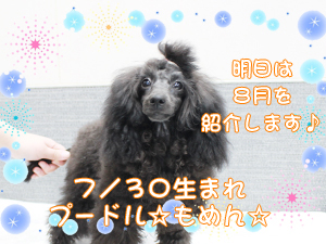 この夏で１歳になりました✩～７月～